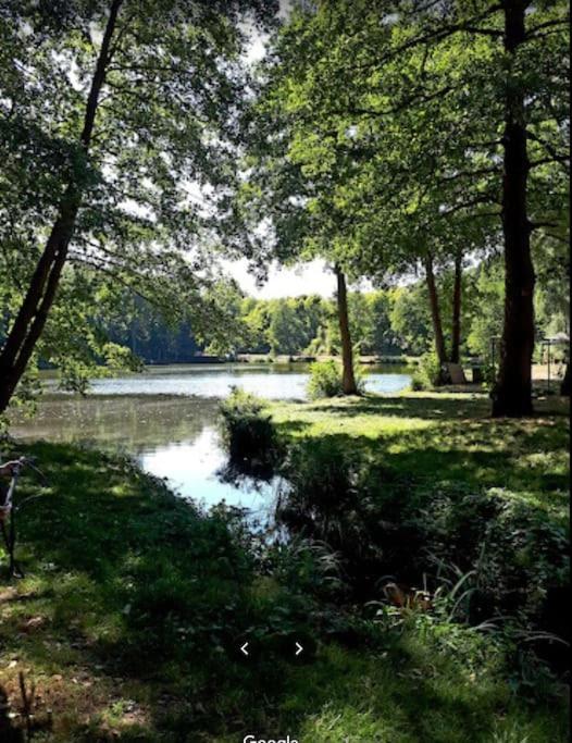 Sonnige Etagen-Wohnung, Alleinige Nutzung, Wasserbett Neunkirchen  Buitenkant foto